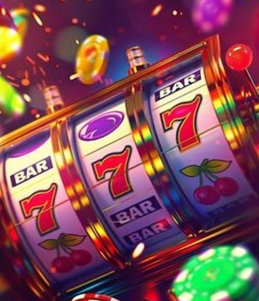 fns229